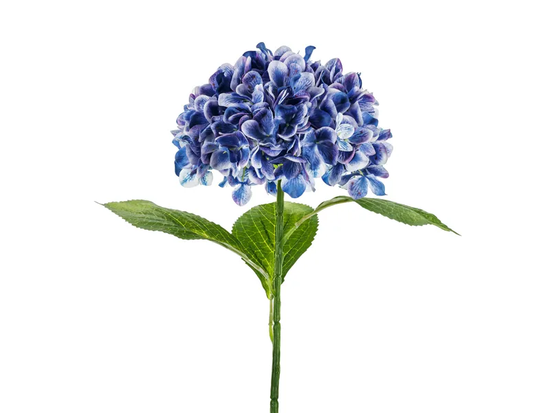 Hortensie Premium Albastru Marin 69cm KWT8-074 [4]