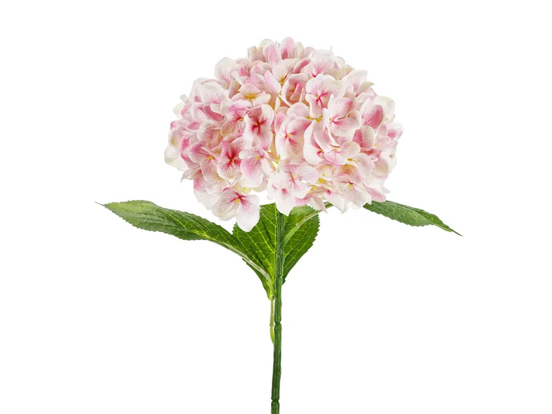 Hortensie Premium Roz Deschis 69cm KWT8-081J [1]