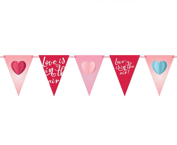 GOD GHIRLANDA DIN HARTIE Love is in the air, 21*28cm 270cm, RV-GPFL [2]