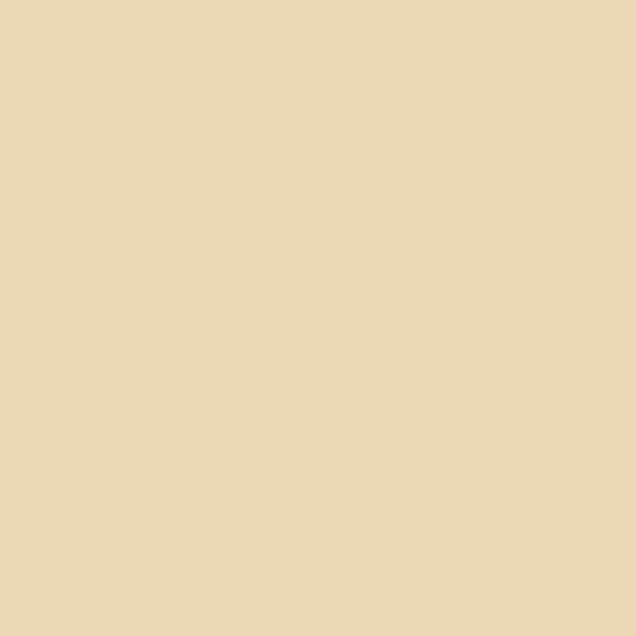 KP CARTON 50*70 130GR CHAMOIS 4721211 [2]