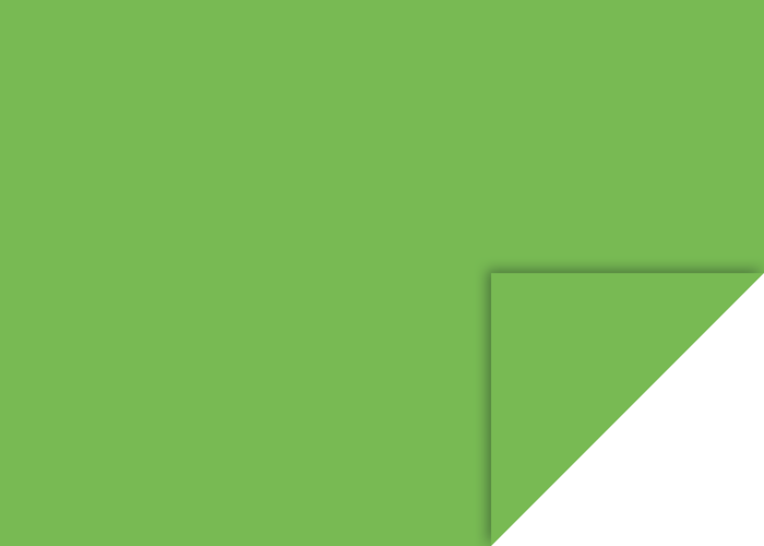 KP CARTON 50*70 130GR VERDE IARBA 4721254 [1]