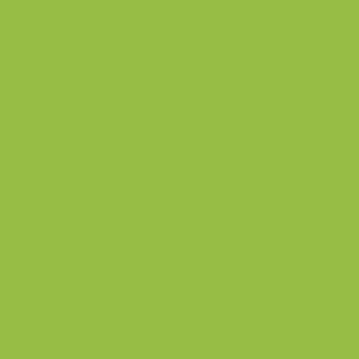 KP CARTON 50*70 130GR VERDE MAI 4721252 [2]