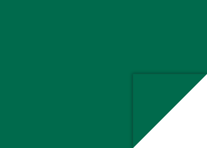 KP CARTON 50*70 300GR VERDE INCHIS 4726259 [1]