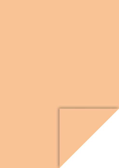 KP CARTON A4 300GR APRICOT 4726416 [1]