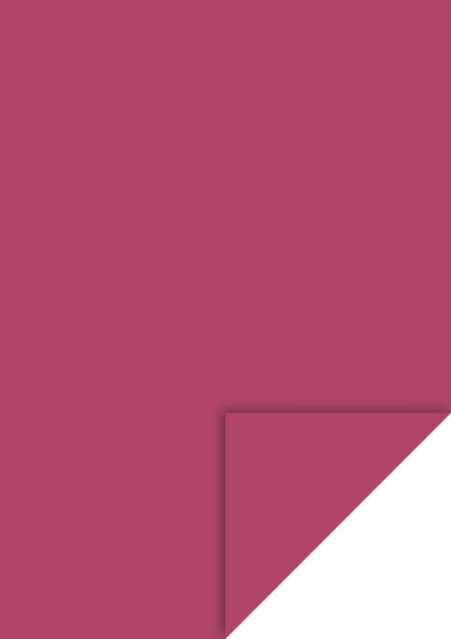 KP CARTON A4 300GR BORDO 4726427 [1]