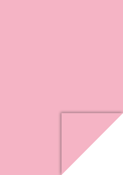 KP CARTON A4 300GR ROSE 4726422 [1]