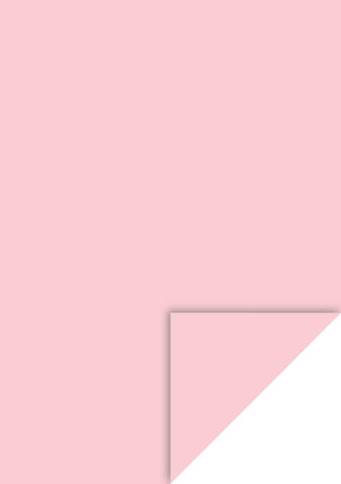 KP CARTON A4 300GR ROSE DESCHIS 4726421 [1]