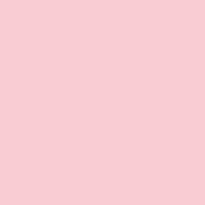 KP CARTON A4 300GR ROSE DESCHIS 4726421 [2]