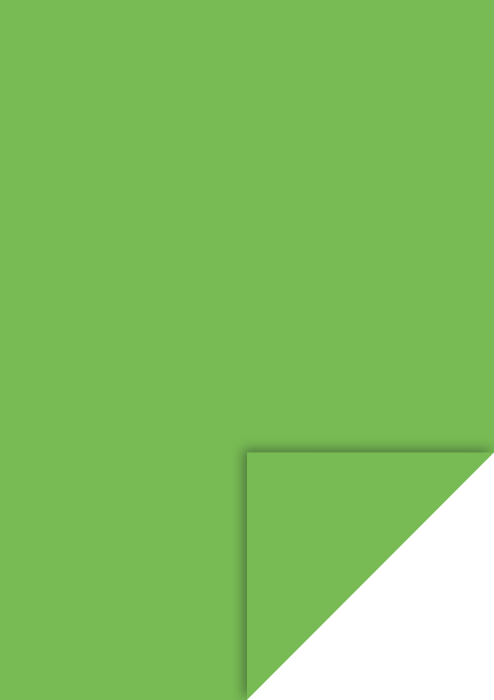 KP CARTON A4 300GR VERDE IARBA 4726454 [1]