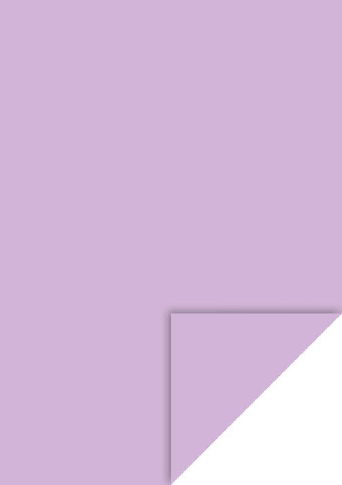 KP CARTON A4 300GR VIOLET DESCHIS 4726461 [1]