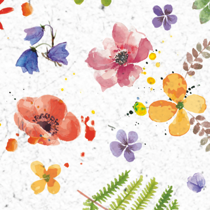 KP CARTON DECOR 50*70 300GR MOTIV FLORI PICTATE 4772257 [5]