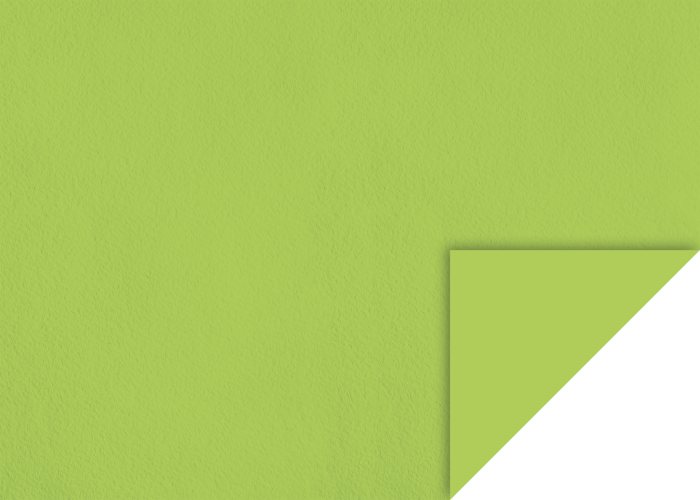 KP CARTON TEXTURAT 50*70 220GR VERDE DESCHIS 4720050 [1]