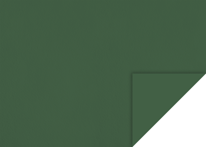 KP CARTON TEXTURAT 50*70 220GR VERDE INCHIS 4720059 [1]