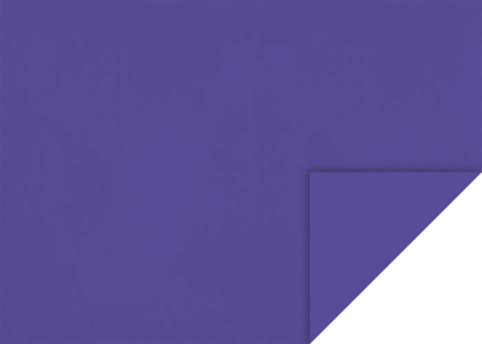 KP CARTON TEXTURAT 50*70 220GR VIOLET INCHIS 4720069 [1]