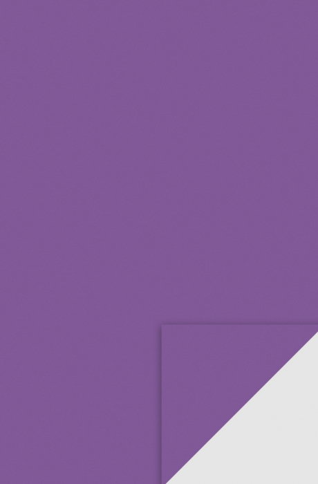 KP COALA GUMATA A4 2MM VIOLET 8433313 [1]