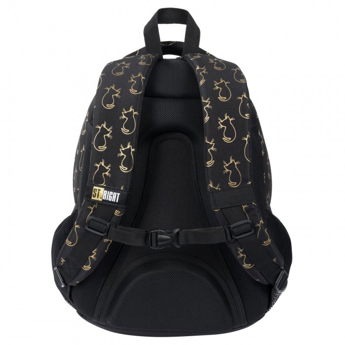 MA RUCSAC SCOLAR ST.RIGHT 4 COMPARTIMENTE BP-05 GOLDEN CATS 683442 [3]
