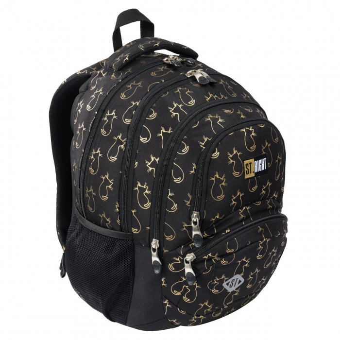 MA RUCSAC SCOLAR ST.RIGHT 4 COMPARTIMENTE BP-05 GOLDEN CATS 683442 [2]