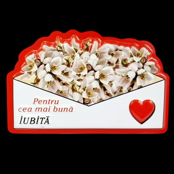 MAGNET CU MESAJ "PENTRU CEA MAI BUNA IUBITA" BJ-W525 [1]