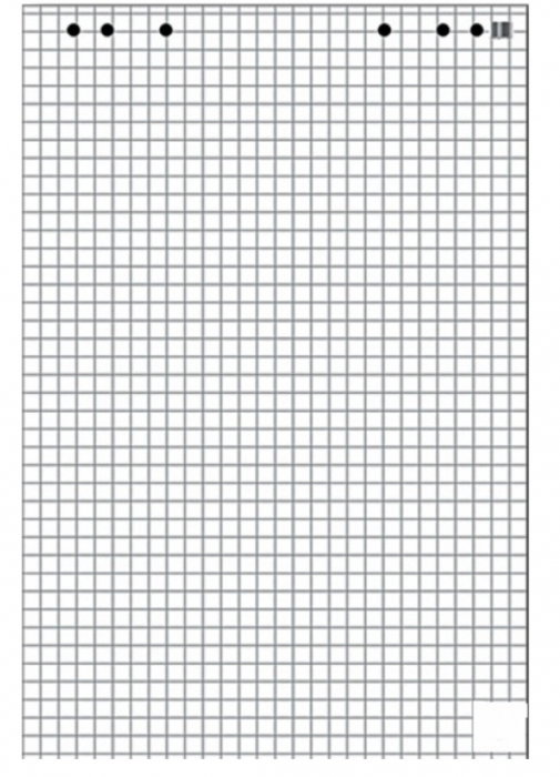 PA HARTIE FLIPCHART 20COLI/SET 68*98 CM PATRATELE 21100058 [1]