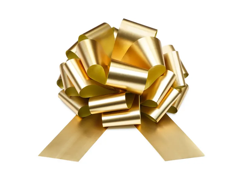 Panglică Decorativă DIY Light Gold 30cm KOZ1S-019J [1]
