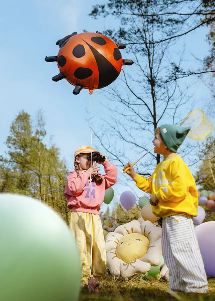 PD BALON FOLIE ALUMINIU Ladybug, 85x83cm, mix FB287 [4]