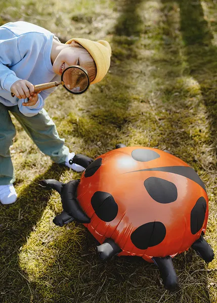 PD BALON FOLIE ALUMINIU Ladybug, 85x83cm, mix FB287 [2]