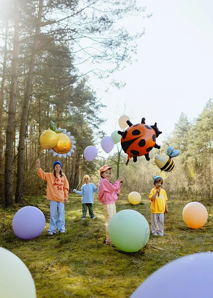 PD BALON FOLIE ALUMINIU Ladybug, 85x83cm, mix FB287 [6]