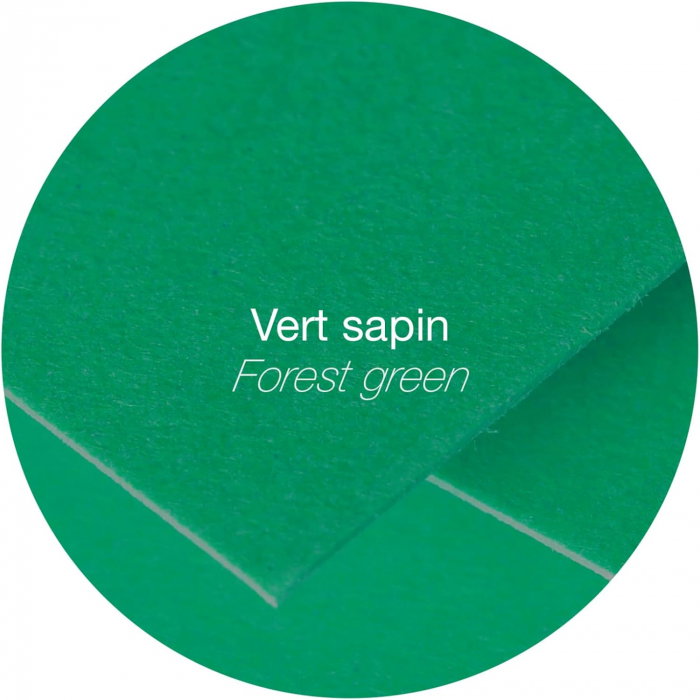 PLIC CLAIREFONTAINE DL 20/SET VERDE PIN 5595C [5]
