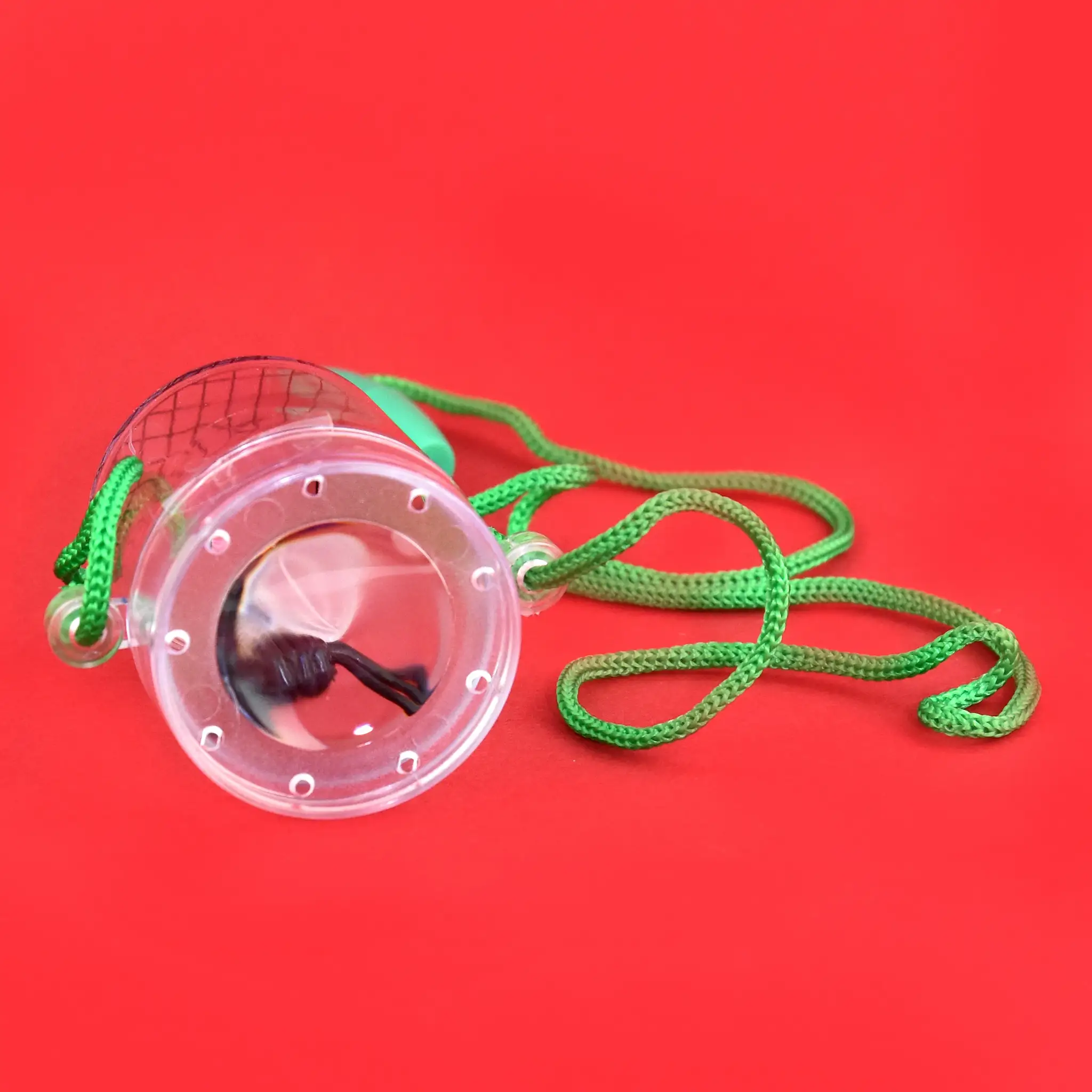 CUTIE PENTRU INSECTE 49078 [1]