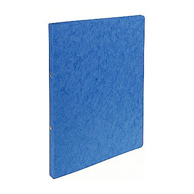 Caiete mecanice A4 - EX CAIET MECANIC A4 2 INELE CARTON BLUE 54252E