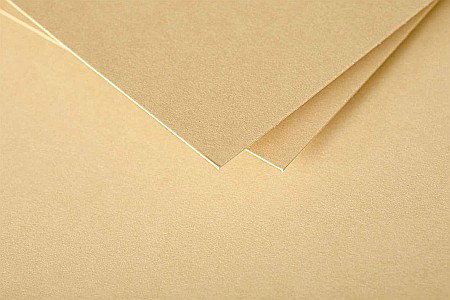 PLIC CLAIREFONTAINE DL 20/SET CARAMEL 5485C [1]