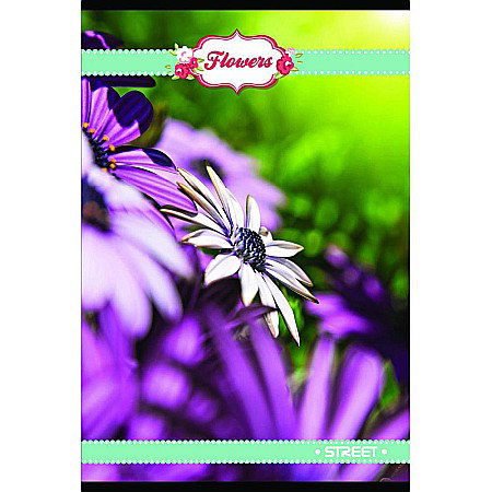 REGISTRU A4 96 FILE PATRATELE, STREET DRAWINGS 60557 [5]