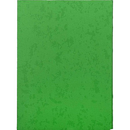 Dosare carton - EU DOSAR PLIC CARTON MAT A4 VERDE 21187