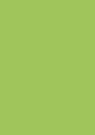 BR HARTIE COLOR A4 80GR 50/SET VERDE DESCHIS 5125050 [0]
