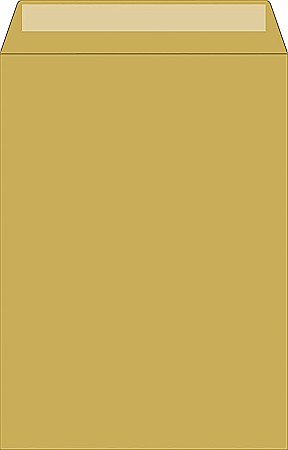 BR PLIC C4 10/SET 229*324MM SILICONIC, KRAFT 5344201 [1]