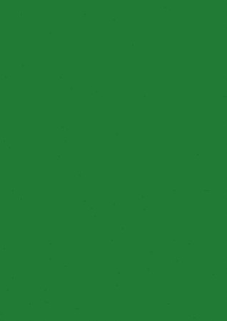 BR CARTON COLOR A4 160GR 25/SET VERDE INCHIS 5122559 [0]
