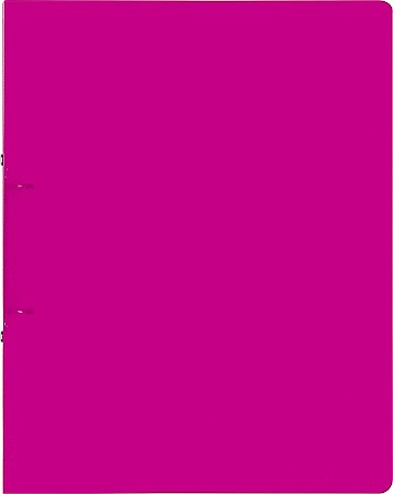 Caiete mecanice A4 - BR CAIET MECANIC A4 2 INELE 16MM ROZ COLOR CODE 6551626