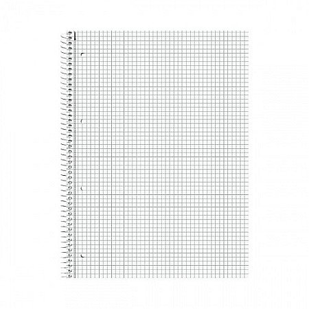 CAIET A4 80F SPIRA SI PERFORATII ARGINTIU PATRATELE 67928192 [1]