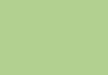 Hartie cerata pentru flori - KP HARTIE CERATA 70*100CM VERDE DESCHIS 4875205/4822153
