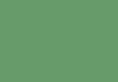 Hartie cerata pentru flori - KP HARTIE CERATA 70*100CM VERDE INCHIS 4875205/4822159