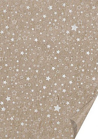DE SEZON - KP CARTON DECOR 50*70 220GR MOTIV STELE ARGINTIU LUCIOS 4771852
