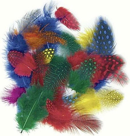 Pene - KP PENE DECOR GUINEA 4-6CM 1G CULORI ASORTATE 4885205