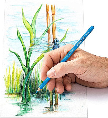 GRI CREIOANE COLORATE AQUARELL STAEDTLER 12/SET  ST-14610C-C12 [3]