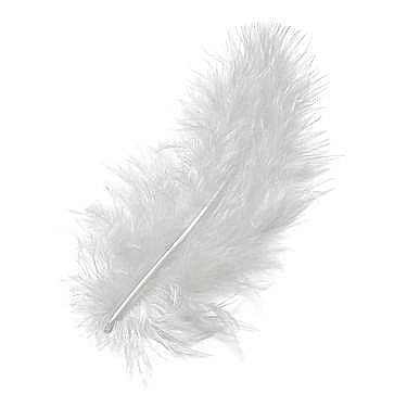 Pene - KP PENE DECOR MARABOU 10CM 15/SET ALB 6619002