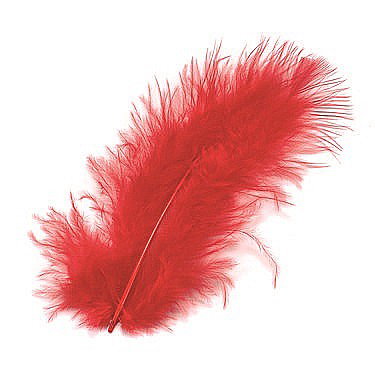 Pene - KP PENE DECOR MARABOU 10CM 15/SET ROSU  6619150
