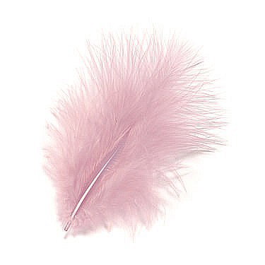 Pene - KP PENE DECOR MARABOU 10CM 15/SET ROZ DESCHIS 6619215