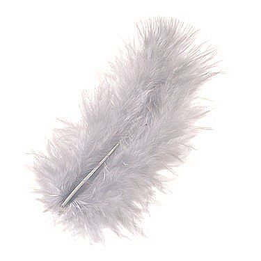Pene - KP PENE DECOR MARABOU 10CM 15/SET GRI DESCHIS 6619622