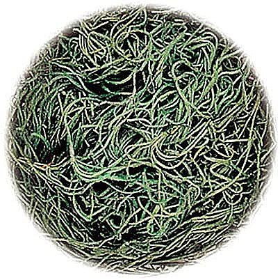Muschi si iarba - KP IARBA DECOR 20GR  VERDE 6692478