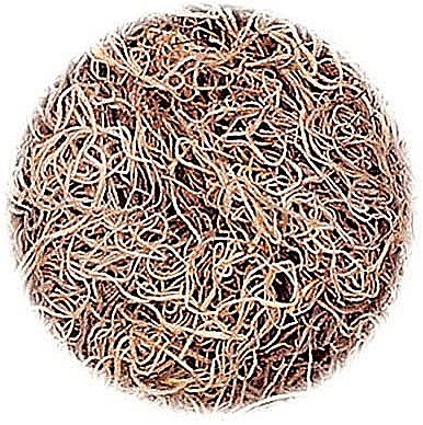 Muschi si iarba - KP IARBA DECOR 20GR  NATUR 6692982
