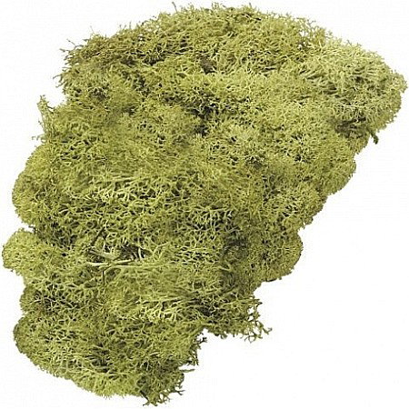 Muschi si iarba - KP MUSCHI 50GR VERDE ISLANDA DESCHIS 6694420